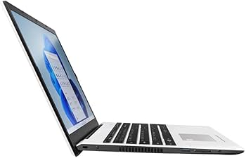 Amazon.com: VAIO 15.6 inch FE Series Laptop - i5-1155G7-16GB